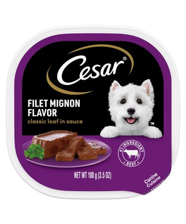 CESAR CLASSICS Loaf in Sauce Gourmet Wet Dog Food, Pack of 24 3.5 Ounce (Pack of 24) Filet Mignon