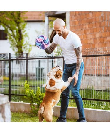 Sniffed Ball for Dogs | Interactive Sniffing Toy | Intelligence & Stress Relief | Washable Feed Mat for Small to Medium Dogs - 15cm Colorful - Buy Online on GoSupps.com
