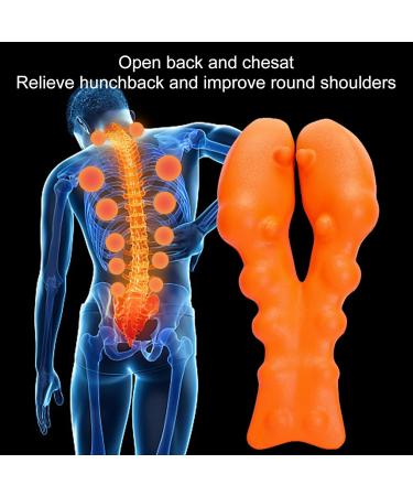 Back and Trigger Point Massager | Relieve Pressure & Straighten Spine | Acupressure Relaxation Device for Gym Use - Buy Online on GoSupps.com