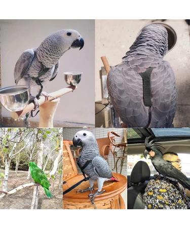 Buy Psopp Bird Dishes & Leash for Parrots | Adjustable PAPPAGES-FREILLEINE for Grayka Cadu Black L - International Shipping - Buy Online on GoSupps.com