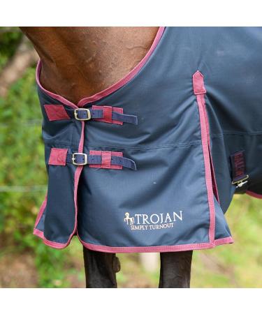 Gallop Trojan 600d Standard Neck 100g Turnout Rug 6'6" (EU 145cm) - Buy Online on GoSupps.com