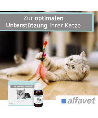 alfavet ReConvales Tonicum Cat Dietary Food Supplement Stimulating the Appetite for Convalescence and in Cases of Underweight 3 x 45 ML - Buy Online on GoSupps.com