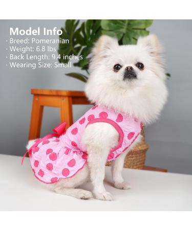 KYEESE Polka Dot Dog Dress with Bow for Small Dogs and Cats - Pink XL - Buy Online on GoSupps.com