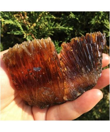 Gemstones and Crystals 50-400g Natural Yellow Amber Calcite Raw Stone Crystal Gem Collection of Rough Rock Specimens Home Decor QINTINYIN Stone Mineral Specimen (Color : 250-270g) - Buy Online on GoSupps.com