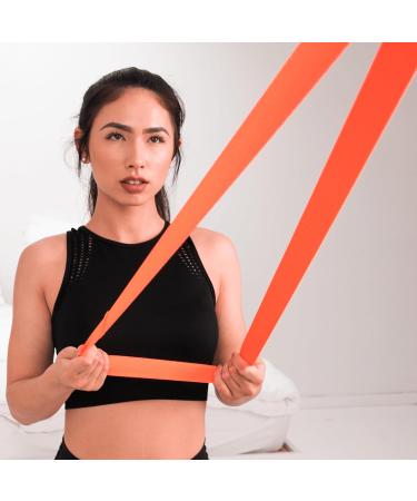 Neo-Olympus Door Anchor for Fitness Straps & Resistance Bands | Best Pull-Up & Therapy Tape Door Anchor - Buy Online on GoSupps.com