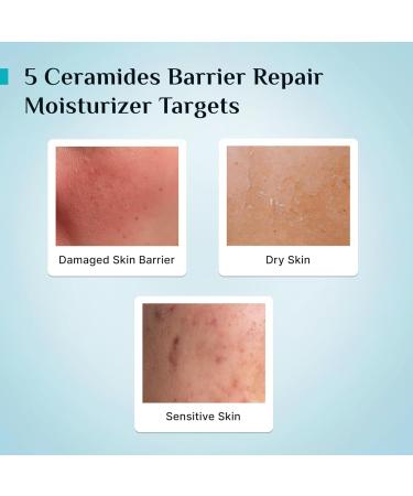 Pilgrim Cica Moisturizer for Face with 5 Ceramides & Hyaluronic Acid | Hydrating Fragrance-Free Cream for Dry Sensitive & Combination Skin | Repairs Skin Barrier | 3.53 Oz (100g) - Buy Online on GoSupps.com