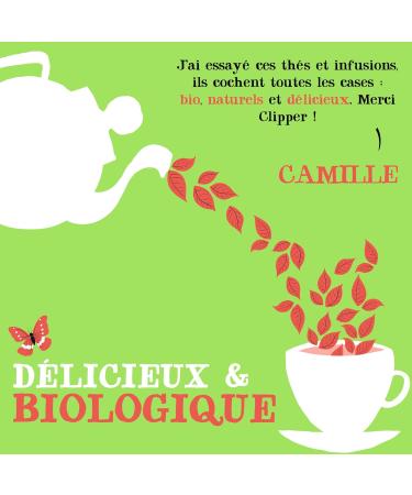 CLIPPER - Organic Strawberry Green Tea - Sumptuous - Fair Trade - 20 Organic Tea Bags - 1 pack - Buy Online on GoSupps.com