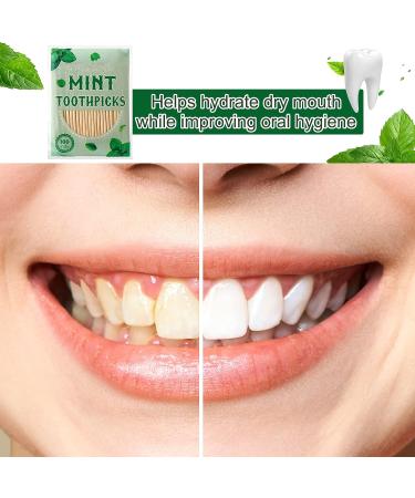Mint Menthol Toothpicks - 600 Pcs Bulk Natural Wooden Dental Picks for Oral Health - Buy Online on GoSupps.com