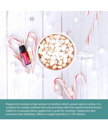 Nature's Fusions Peppermint (Supreme) 100% Pure and Natural Essential Oils Undiluted Therapeutic Grade for Aromatherapy and Topical Use .5 Fl Oz (Pack of 1) (15 mL) - Buy Online on GoSupps.com