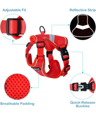 Petbonus Adjustable Cat Dishes & Leash Set - Soft Breathable Small Cat Bowls with Reflex Strips - Ideal for International Shipping - Buy Online on GoSupps.com