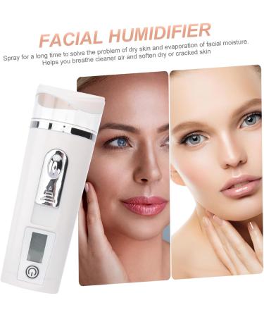 BIUDECO Hydrating Instrument Face Sprayer Portable Facial Mister Fog Humidifier Handheld Steamer White Abs - Buy Online on GoSupps.com