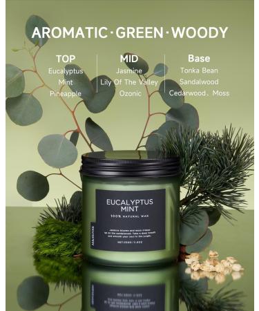 M&SENSE Eucalyptus Mint Soy Candles - 11.6oz Aromatherapy Candle for Stress Relief Meditation Yoga & Relaxation | 70 Hour Burn Gift for Men & Women - Buy Online on GoSupps.com