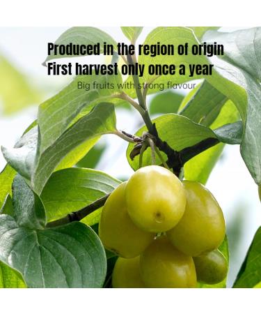  HQZMCTE Healthy and Refreshing Herbal Tea - 210g of Seedless Barberry Fruits with a Tangy and Juicy Flavor - Buy Online on GoSupps.com