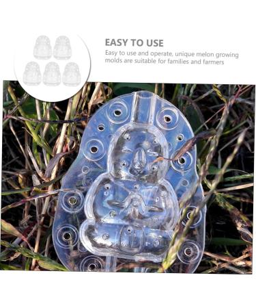 SUPVOX 5pcs Vegetable Plastic Fruit Transparent Fruit Ginseng Fruit Shaping Mini - Buy Online on GoSupps.com