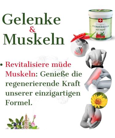 Horse Balm with Hemp - Warming Muscle & Joint Gel - 25 Natural Extracts - Ideal for Athletes - 500ml - Natural Care for Everyday Use - Buy Online on GoSupps.com