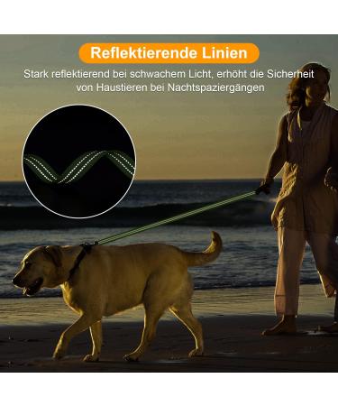 X XBen 30m Dog Tow Line - Robust Leash with Lockable Carabiner | Reflective Training Line for Medium & Large Dogs - Convenient Hand Loop Green - Buy Online on GoSupps.com