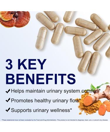 Pegciz Prostate Health Supplement for Men Saw Palmetto Stinging Nettle & Beta-Sitosterol for Urinary Flow & Prostate Support 90 Vegetarian Capsules (1 Month Supply) - Buy Online on GoSupps.com