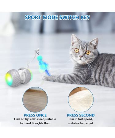 Titipet Interactive Robotic Cat Toy - Auto Rechargeable Feather/Bird/Mouse Toy for Indoor Cats/Kittens - 360 Degree Self Rotating Ball - Buy Online on GoSupps.com