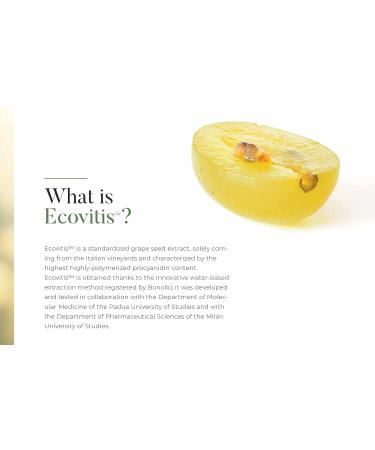 Ecovitis OPC Grape Seed Extract Capsules | 95% OPCs from Italian Vineyard Grapes | UK Made Vegan Supplement | GMP Certified | 60 Capsules - Buy Online on GoSupps.com