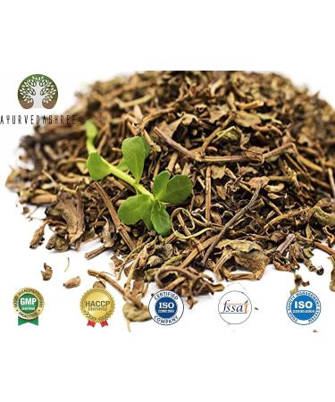 Centella Asiatica Powder 100g - Gotu Kola Brahmi Mandupakarni | Non-GMO Gluten Free Vegan | Premium Quality for Wellness - Buy Online on GoSupps.com