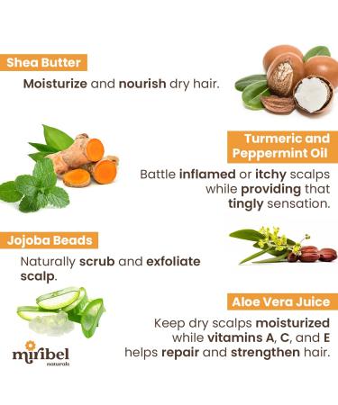 Naturals Creamy Hair Cleanser | Apple Cider Vinegar Co-Wash | Natural Clean Hair Care for All Hair Types - Shop Internationally - Buy Online on GoSupps.com