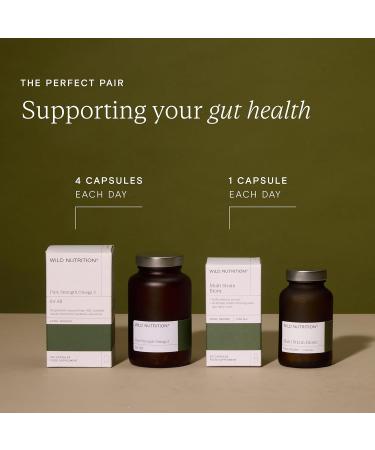 Wild Nutrition Food-Grown Pure Strength Omega 3 Supplement | Fish Oil Capsules with 250mg of DHA & EPA | Fish Oil Omega 3 Fatty Acid Supplements | 120 Capsules Adult - Buy Online on GoSupps.com