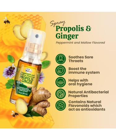 Beelife Propolis Throat Spray - Honey & Ginger Soothing Immune Support - 30ml (1 Fl Oz) - Buy Online on GoSupps.com