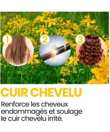  bleu & marine Bretania St John's Wort Oil Highly Concentrated Uncut 30ml 100% Pure Macerate with Olive Oil Vegan and Non-GMO - Buy Online on GoSupps.com