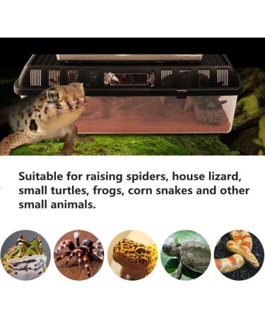 Breeding Box Petforu Crawler Jar Small Reptile Feeding Box Portable Plastic - Rectangle S - Buy Online on GoSupps.com