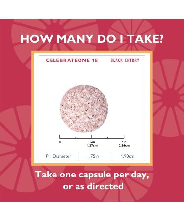 Celebrate Vitamins CelebrateONE 18 Chewables 18mg Iron - Once Daily Bariatric Multivitamin Essential Vitamins & Minerals - Gastric Bypass & Sleeve Gastrectomy Supplement - Black Cherry (30 Tablets) 30 Count (Pack of 1) - Buy Online on GoSupps.com