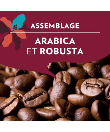 Lavazza Tales of Napoli Coffee Beans 1.5 kg for Automatic Coffee Machines Cocoa and Caramel Notes Arabica and Robusta  - Buy Online on GoSupps.com