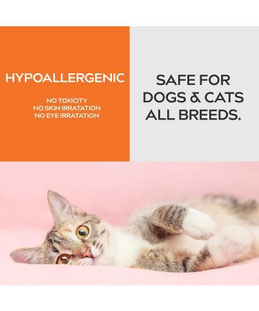 Dynamic Element Pet Odour Eliminator Spray - 9 Fl Oz - Mineral Formula for Strong Odours - Carpet Smell Freshener - Unscented Remover for Dog & Cat Urine on Carpet - Buy Online on GoSupps.com