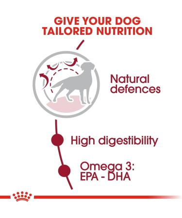 ROYAL CANIN 4kg Medium Adult Dry Dog Food - Buy Online on GoSupps.com