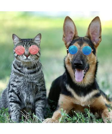 Buy CYH 10-Piece Round Pet Sunglasses Fashionable Retro Glasses for Dogs & Cats | Perfect for Cosplay Parties & Photo Shoots - Buy Online on GoSupps.com