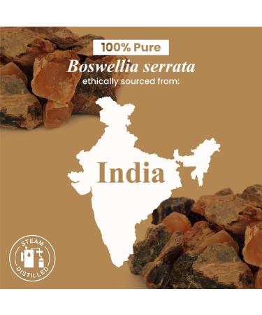 Handcraft Blends Meditative Air Set: Eucalyptus and Frankincense Essential Oils (2 x 4 Fl Oz) 100% Pure & Natural for Diffuser Aromatherapy and DIY Projects - Buy Online on GoSupps.com