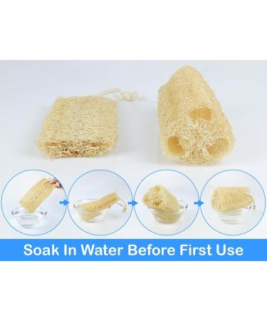 Organic Natural Loofah Sponge Set - 100% Plastic Free Compostable Body Bath Scrubber for Cleaning & Showering (Set of 4 - Buy Online on GoSupps.com