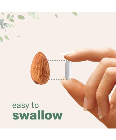 Plant Based BCAA 1000mg 400 Capsules - 6 Month Supply | 3-in-1 Formula for Optimal Balance | Instantized for Better Absorption | Pre Workout Energy Pills - 400 Count - Buy Online on GoSupps.com