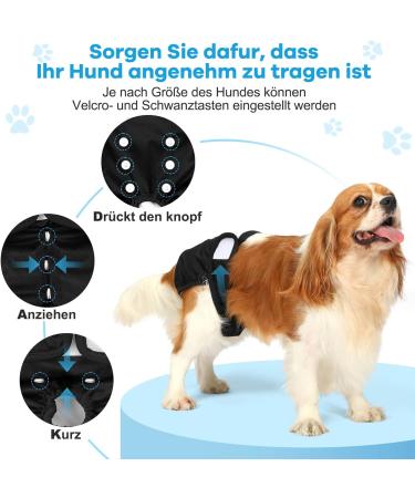 Reusable Taval Dog Diapers for Bitches - 3 Pack Washable Female Dog Pants - International Shipping Available - Buy Online on GoSupps.com