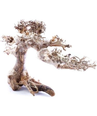 Superfish Natural Wood Bonsai Driftwood Small 23x12x15 - Buy Online on GoSupps.com