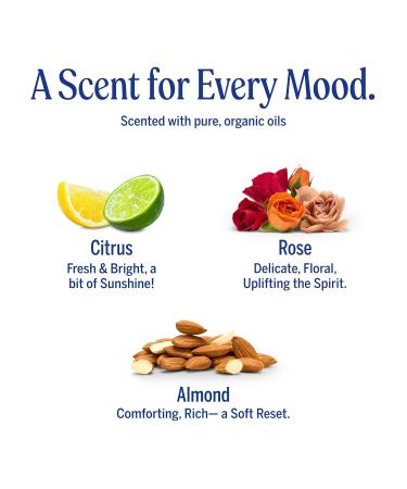 Dr. Bronner's Pure-Castile Magic Bar Soaps (5 Ounce Variety Gift Pack) Almond Unscented Lavender Peppermint Citrus Rose - Made with Regenerative Organic Certified Oils Vegan Non-GMO 5 Ounce (Pack of 6) - Buy Online on GoSupps.com