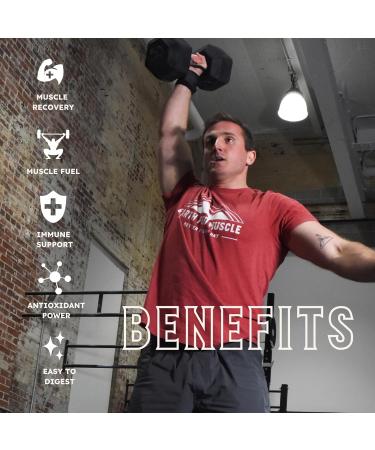 Earth Fed Muscle Nocturnal Casein Protein Powder Dark Chocolate Protein Powder with Whey Blend 18g Protein Sugar Free Gluten Free Nighttime Recovery Protein Poweder 2lb 23 Servings - Buy Online on GoSupps.com