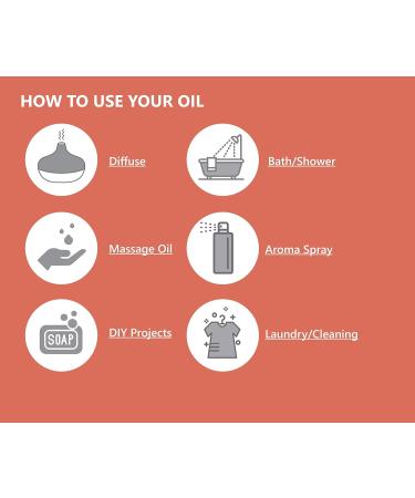 Citrus Essential Oil Set - Pack of 3 (1 oz) | Pure Therapeutic Grade Lime Clementine Grapefruit | International Shipping Available - Buy Online on GoSupps.com
