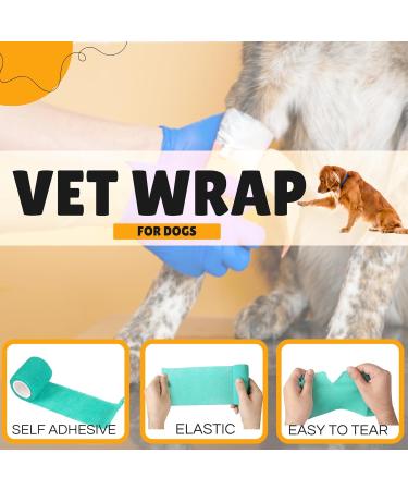 Vet Wrap Self Adhesive Bandage 5cm x 4.5m - Cohesive Tape for Pets & Sports (12 Pack) - Buy Online on GoSupps.com