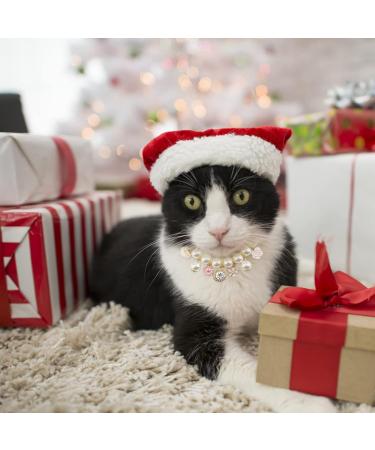 Hacraho Adjustable Pet Pearl Necklace - Rhinestone Cat & Dog Decor | International Shipping Available - Buy Online on GoSupps.com