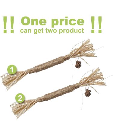 Catnip Chew Toy for Cats | Interactive Silvervine Stick for Kitten Teething | Teeth Cleaning Cat Toy - Buy Online on GoSupps.com