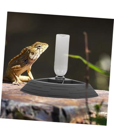 BELLIFFY Turtle Drinker Auto Feeder Reptile Food Bowl Automatic Reptile Feeder Automatic Waterer Pet Plastic 17.00X17.00X3.50CM Grey - Buy Online on GoSupps.com