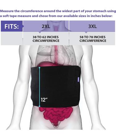 Plus Size Abdominal Binder for Post Surgery Support - Bariatric Stomach Wrap for Women and Men - Obesity Girdle for Liposuction and C-Section Recovery - 2XL (38-62 in) - Buy Online on GoSupps.com