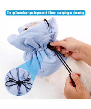 PEUTIER Cat Recovery Collar Soft Adjustable Cat Cone Cat Elizabethan Collar Cat Neck Protective Collar Neck Collar After Surgery for Cats Kitten Prevent from Licking Wounds (S) - Buy Online on GoSupps.com