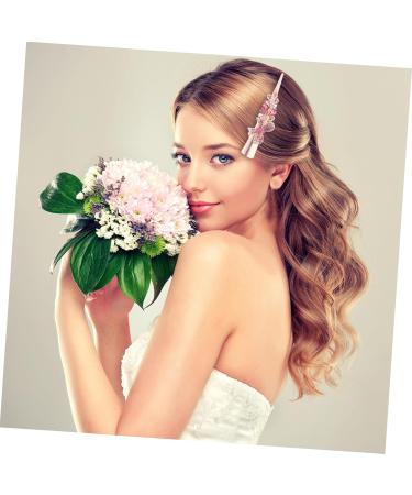 Beaupretty clip ins hair accessories hair barrettes hair clips girls hairpin hair decoration hairpin for women large hairpins unique clips for hair big hairpin Metal Hair up Miss - Buy Online on GoSupps.com