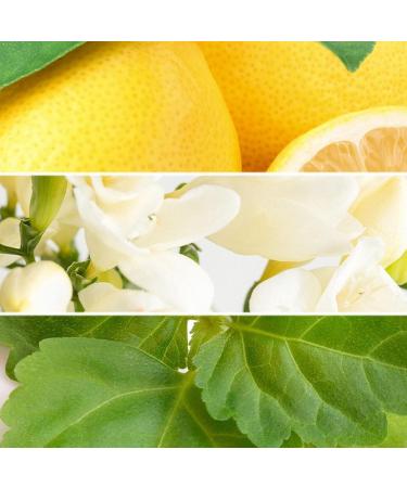 2PCS Men's Perfume Spray Lasting Fragrance Fresh Warm Mens Cologne Spray Ideal Day or Night Fragrance Mist Gifts for Men 1.86 Fl Oz 1.86 Fl Oz (Pack of 1) C1(Blue+Black) - Buy Online on GoSupps.com